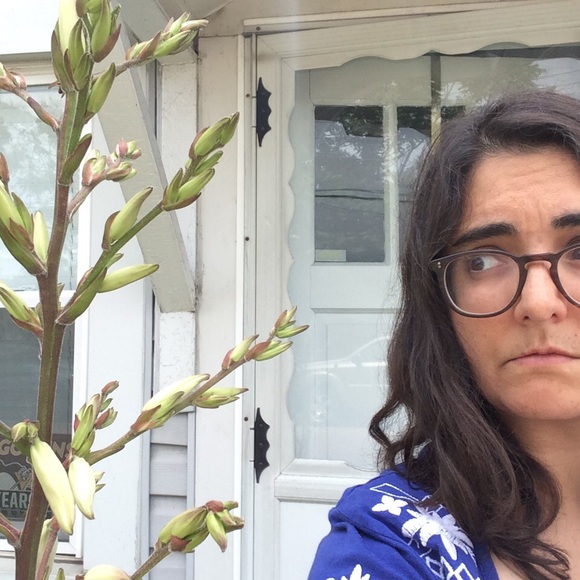 Meet your Posher, Lizzie - Picture 3 of 7